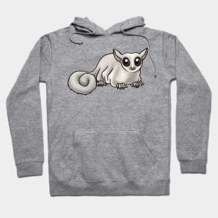 Mammal - Sugar Glider - Leucistic Hoodie